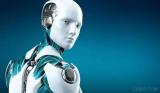 2025年通用人形机器人将成为现实