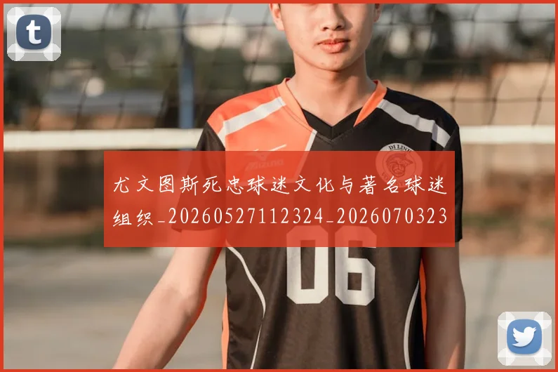 尤文图斯死忠球迷文化与著名球迷组织_20260527112324_20260703233947