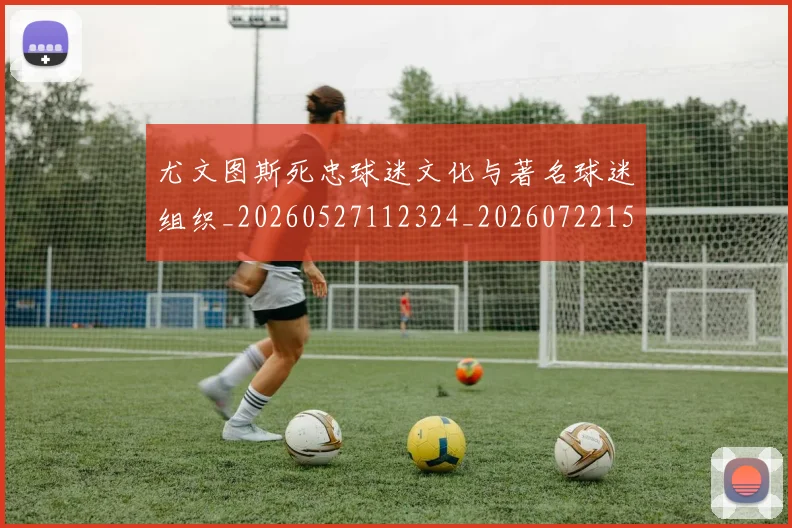尤文图斯死忠球迷文化与著名球迷组织_20260527112324_20260722151604