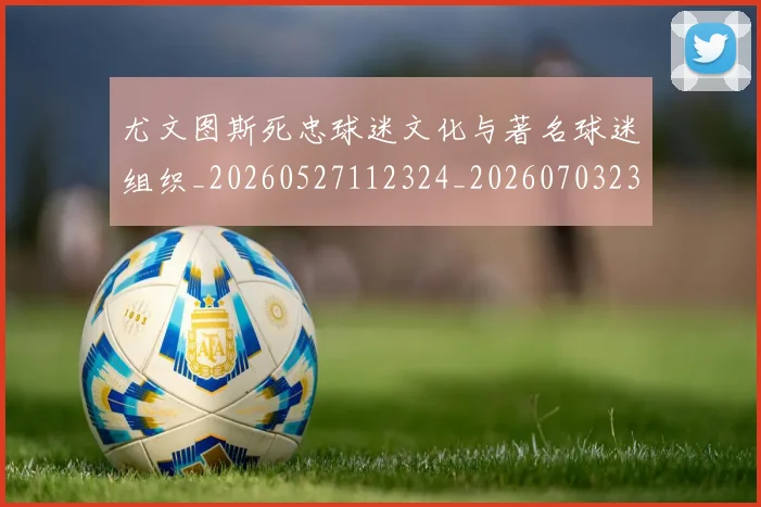 尤文图斯死忠球迷文化与著名球迷组织_20260527112324_20260703233947