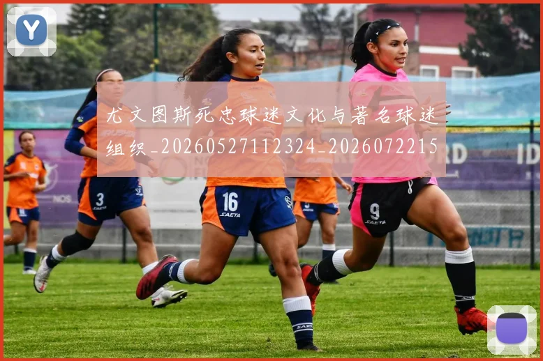 尤文图斯死忠球迷文化与著名球迷组织_20260527112324_20260722151604